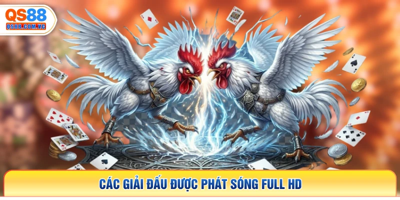 Các giải đấu được phát sóng full HD