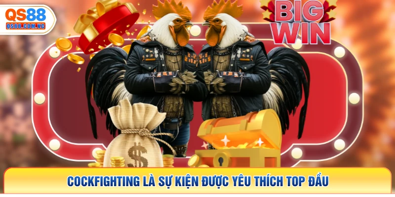 Cockfighting là sự kiện được yêu thích top đầu