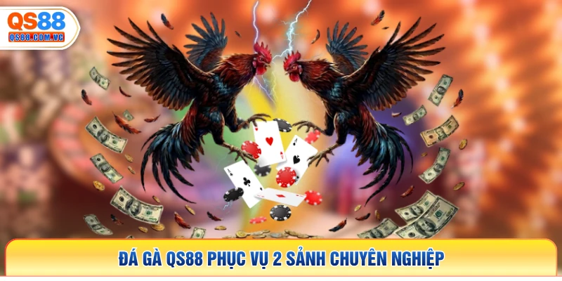 Đá gà QS88 phục vụ 2 sảnh chuyên nghiệp